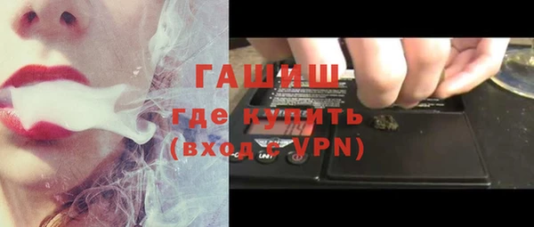 стаф Алзамай
