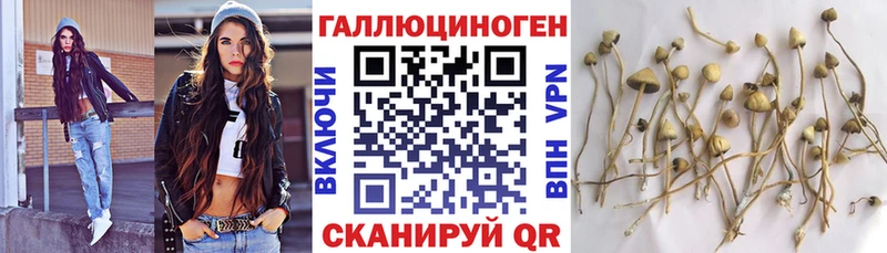 Псилоцибиновые грибы Magic Shrooms  мориарти клад  Добрянка 