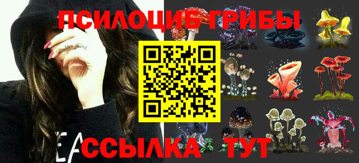 Псилоцибиновые грибы ЛСД  Вход с VPN  Добрянка  Галлюциногенные грибы Cubensis 