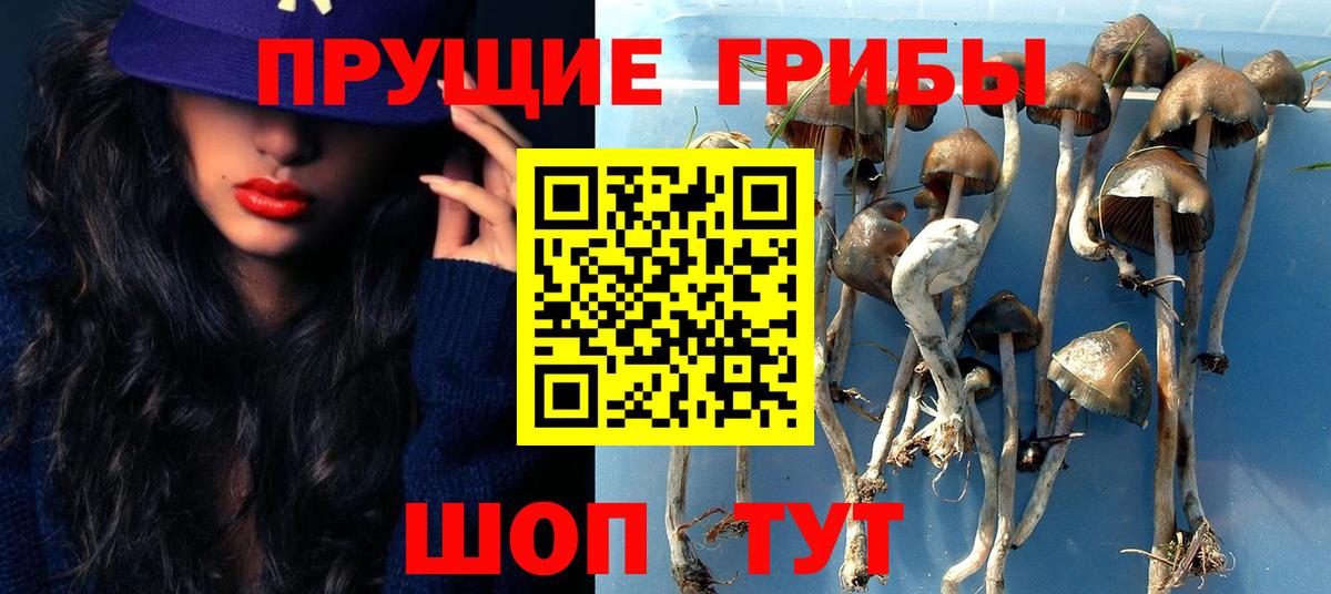 Галлюциногенные грибы ЛСД Добрянка